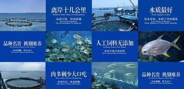 三海鱼水产养殖品牌策划与市场营销案例分析