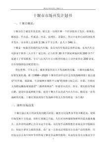 市场革新时代的破局之道 年度营销驱动力创新方案