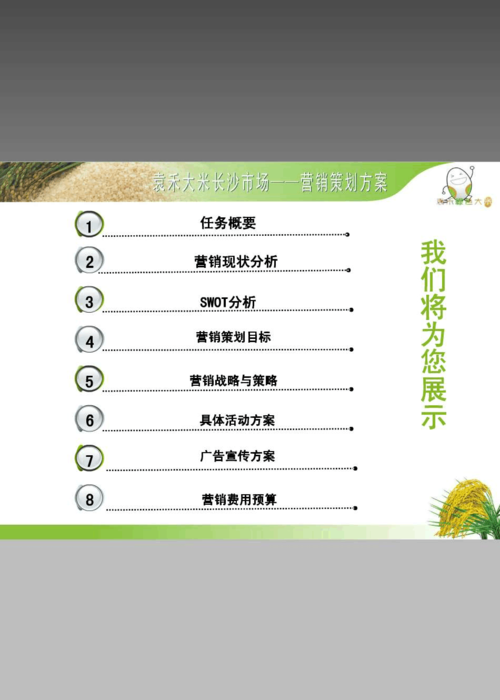 袁禾大米长沙市场营销策划方案